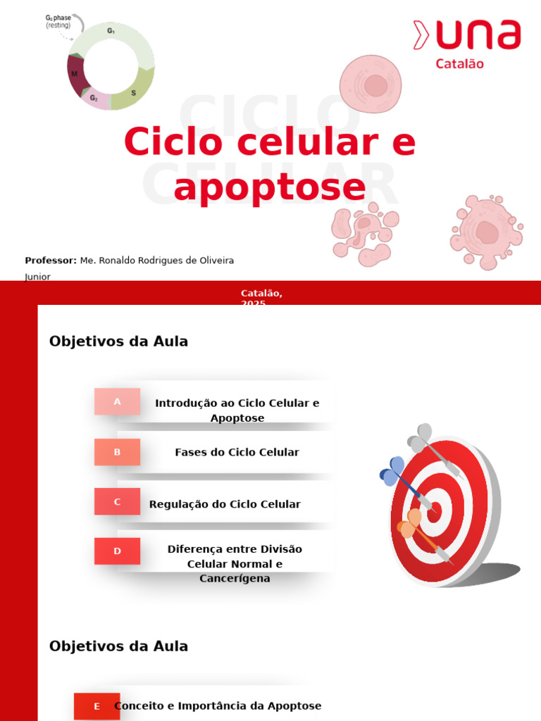 Ciclo Celular e Apoptose: Fundamentos e Fases | PDF | Ciclo de célula ...