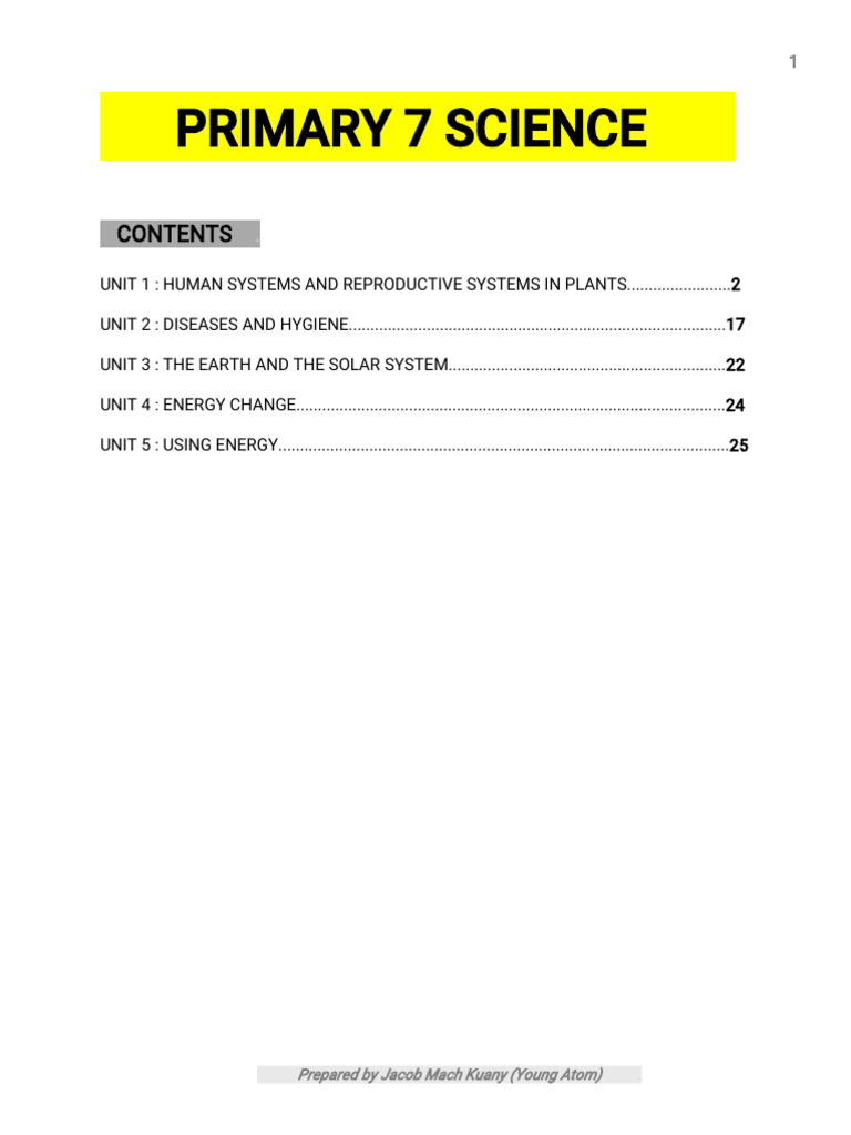 Primary 7 Science: Human Systems & Energy | PDF | Thorax (Human Anatomy ...