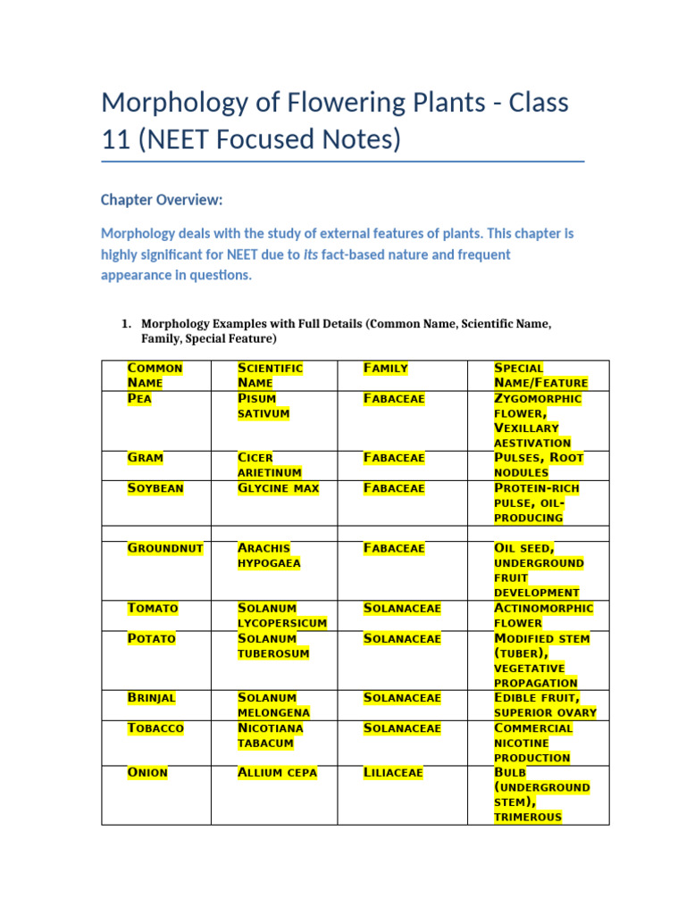 NEET Morphology Examples of Plants | PDF | Onion | Branches Of Botany