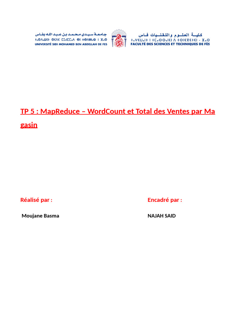 MapReduce : WordCount et Ventes Magasin | PDF