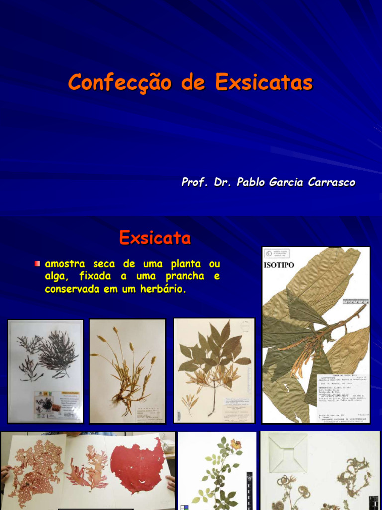 Guia Prático de Confecção de Exsicatas | PDF