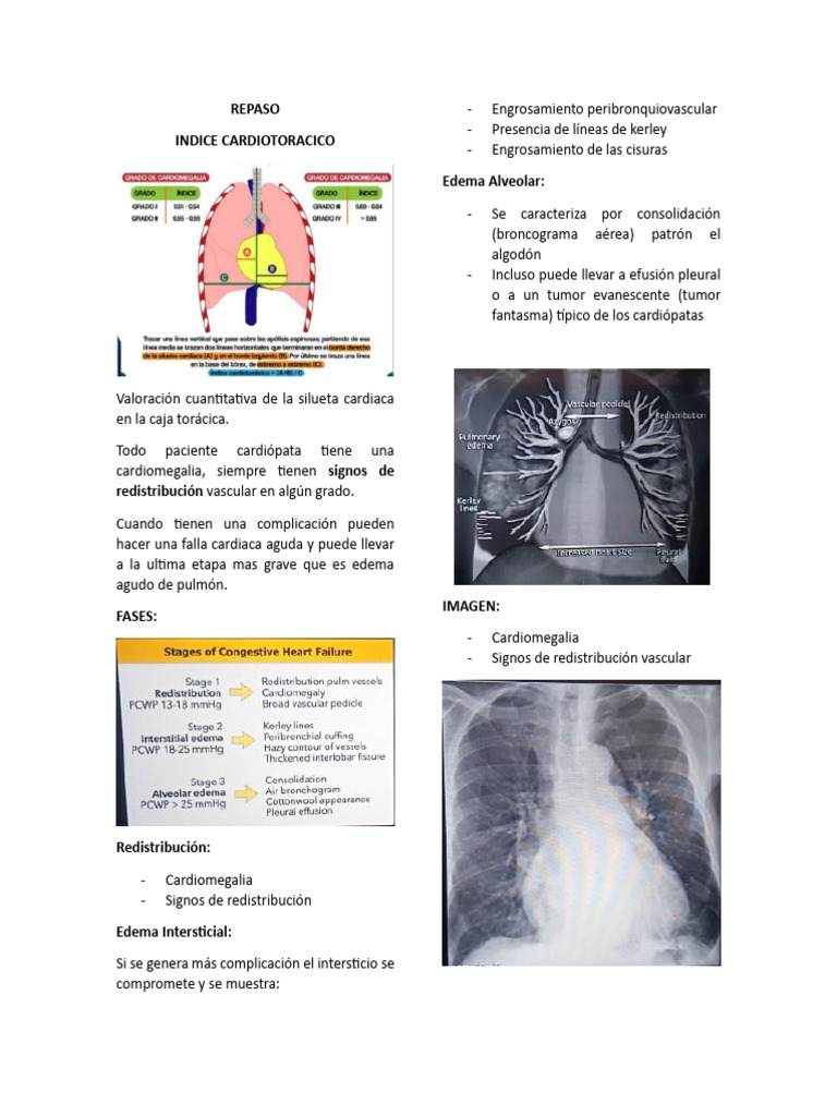 Índice de Patologías Cardiotorácicas | PDF | Cáncer de pulmón | Riñón