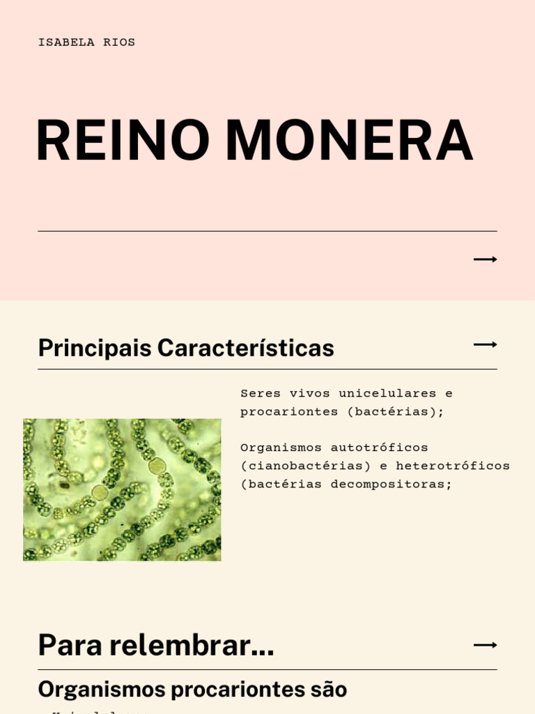 Características do Reino Monera | PDF | Bactérias | Procarionte