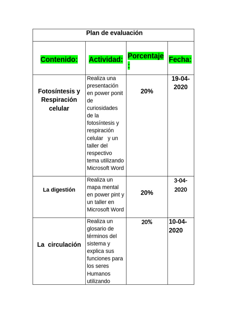 Plan de Evaluacion 1año | PDF