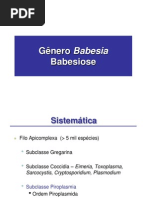 BABESIA
