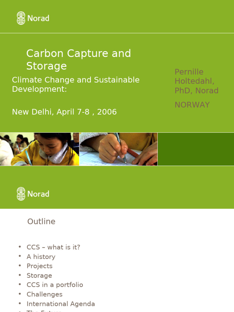 CCS in Delhi: Challenges and Future | PDF | Carbon Capture And Storage ...