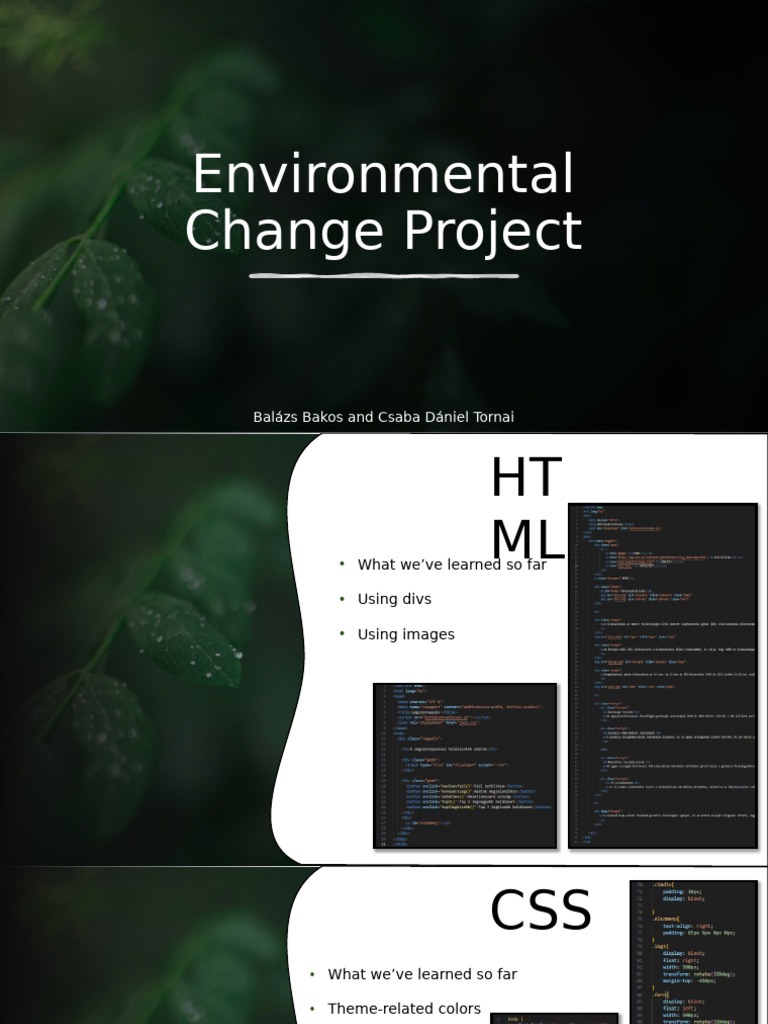 Environmental Change Project Overview | PDF
