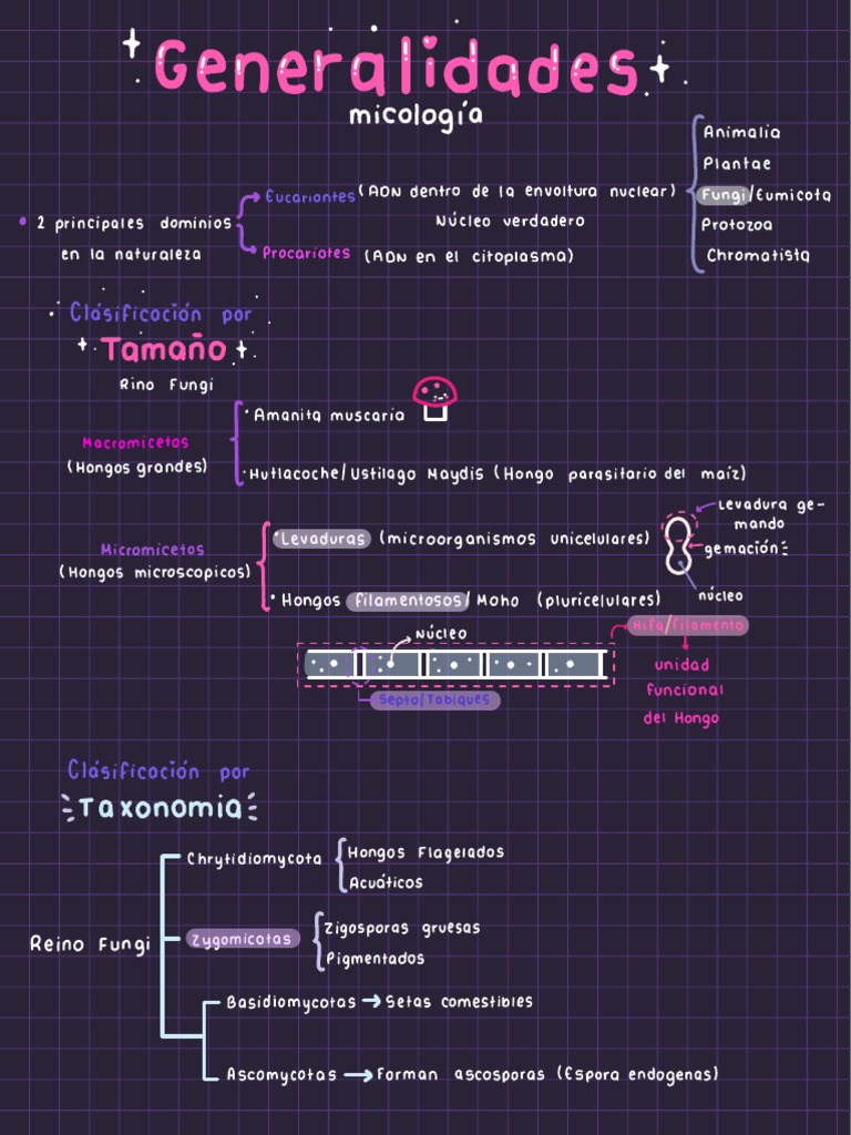 Micro B3 ?? | PDF | Hongo | Biología