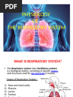 Respiratory System Overview and Functions | PDF | Respiratory System | Lung