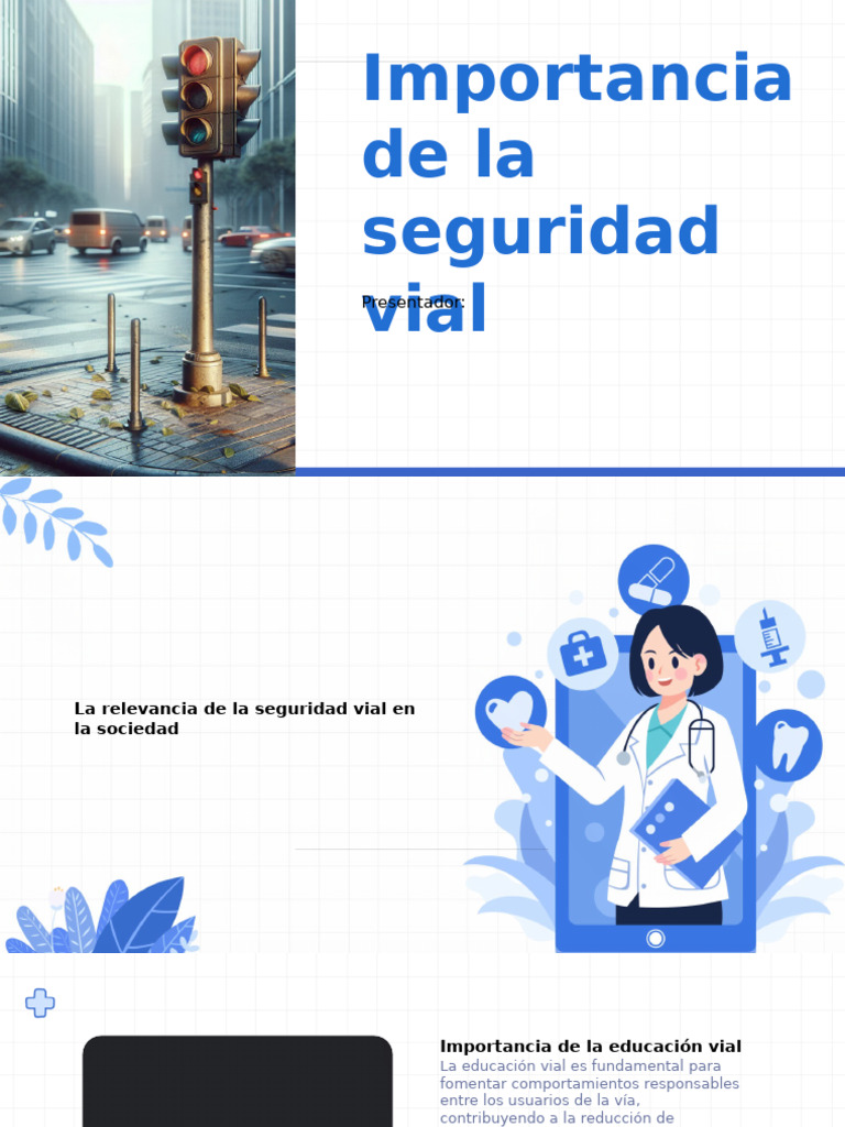 Importancia de La Seguridad Vial | PDF | Seguridad vial | Peatonal