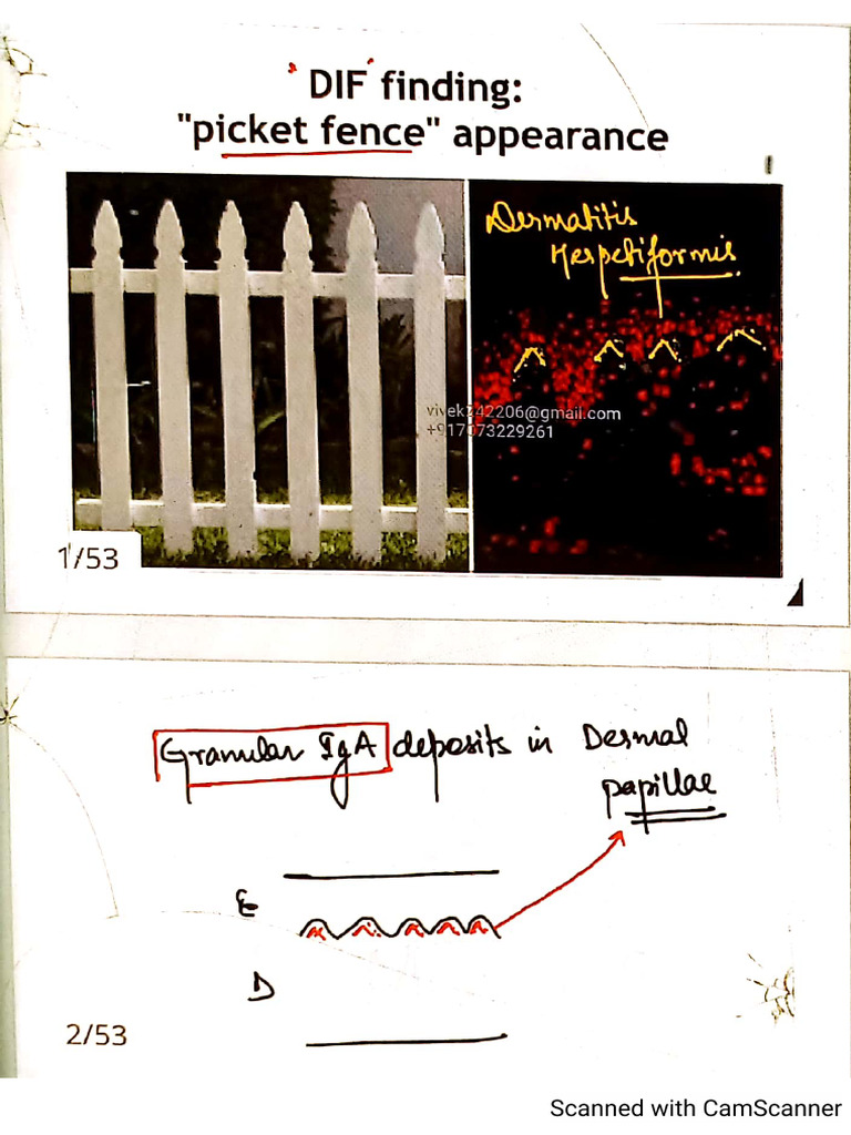 Derma DR - Manish Soni All Image | PDF