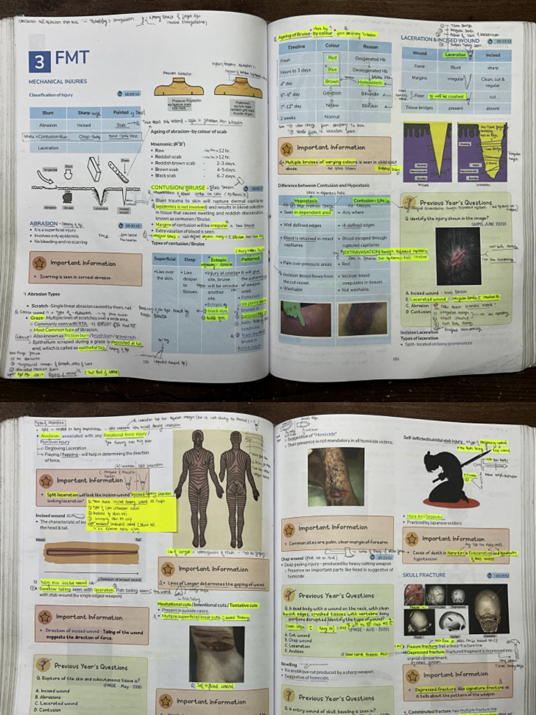 FMT | PDF