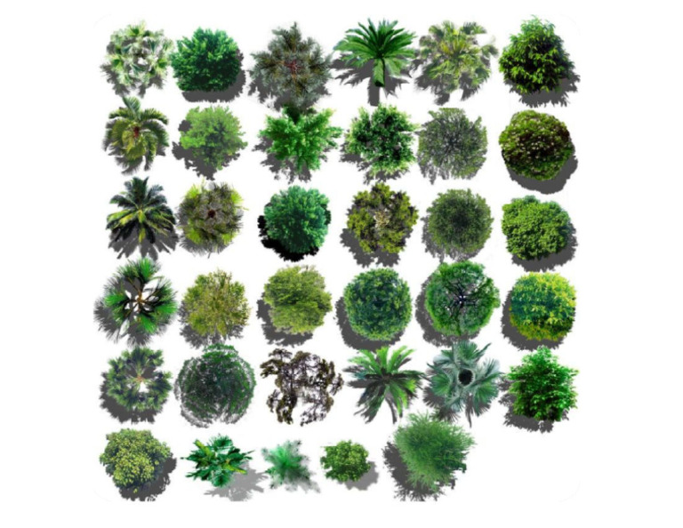 Top Down Tokens - Plants 4 | PDF