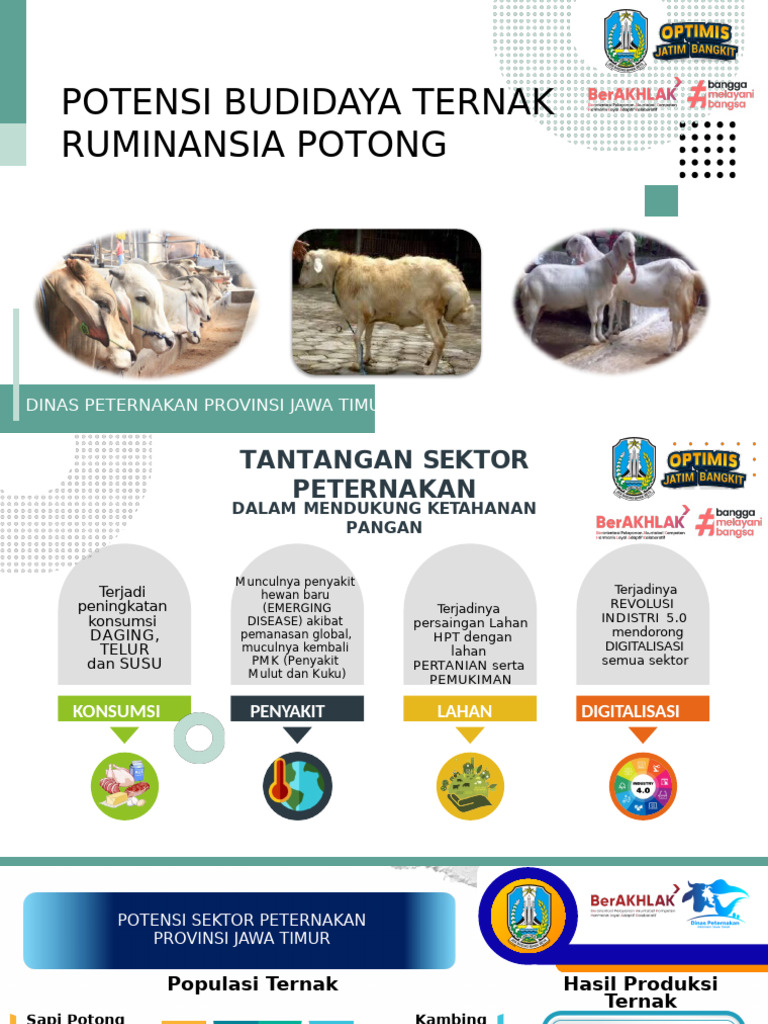 Potensi Budidaya Ternak Ruminansia Potong | PDF