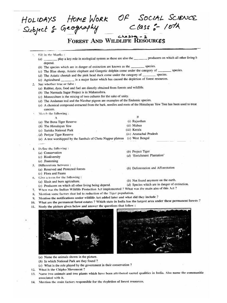 Class 10 SST HHW | PDF