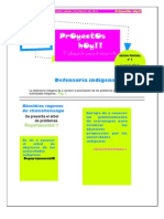 Diario2.proyectos Sociales - Maya