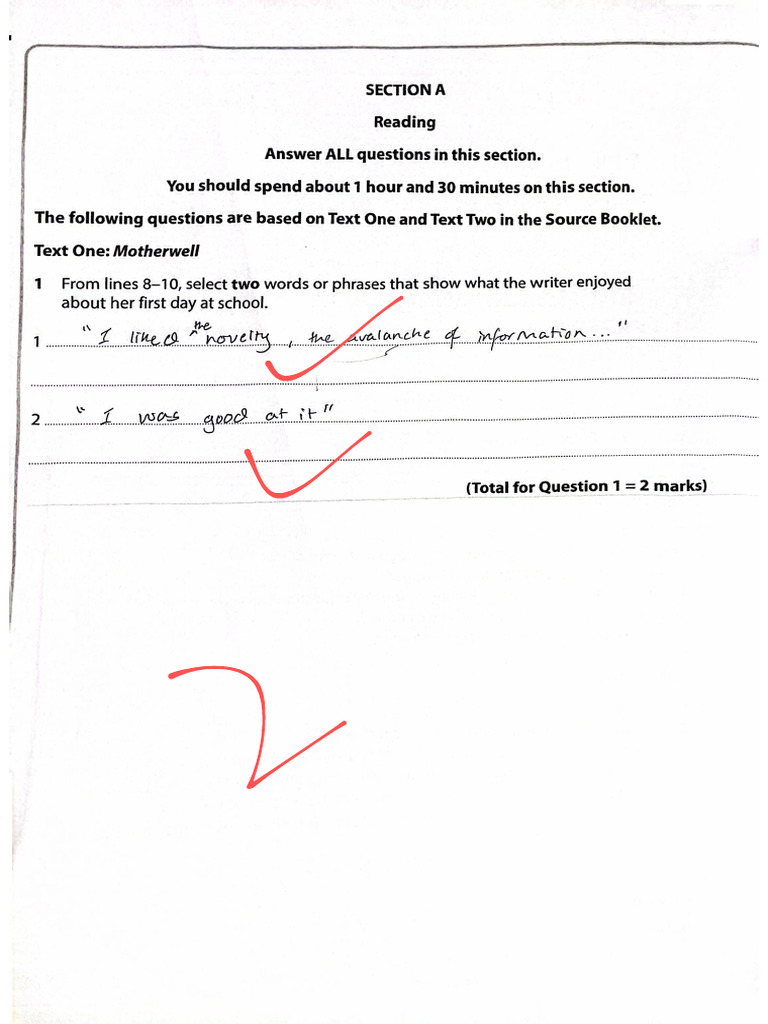 Rayyan Wasif - English Language A Paper J | PDF