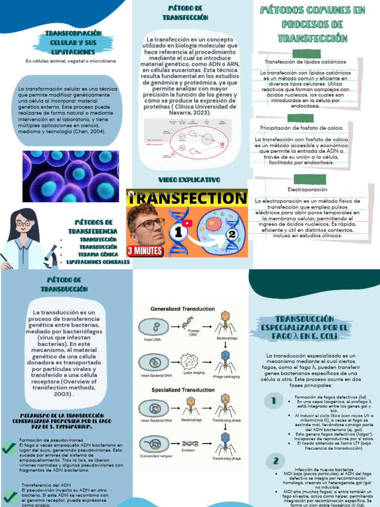 Métodos de Transfección y Limitaciones | PDF | Bacteriófago | Transfección