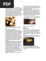 Jerkmate Ranked: Score, Share, Win! | PDF | World Wide Web | Internet & Web
