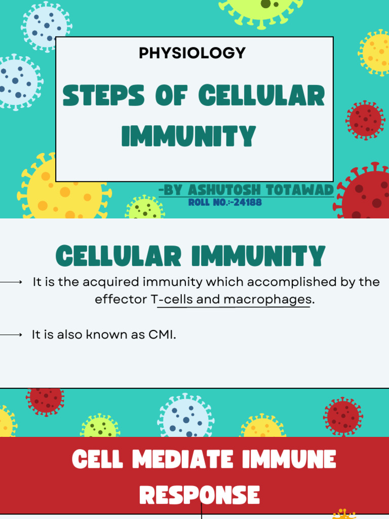 Steps of Cellular Immunity - 20250109 - 003745 - 0000 | PDF | T Cell ...