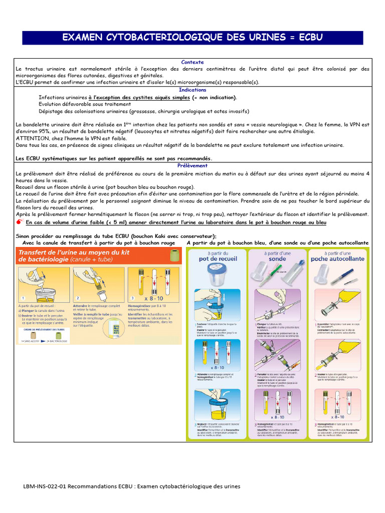 Recommandations pour l'ECBU urinaire | PDF | Infection urinaire | Urine