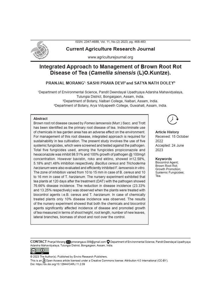 CARJ Vol11 No2 P 468-483 | PDF | Root | Fungus