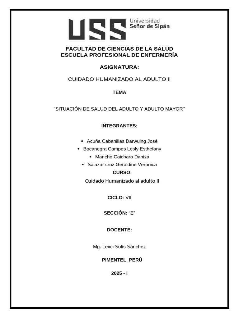 Salud y Desafíos del Adulto Mayor en Perú | PDF | Adultos | Vejez