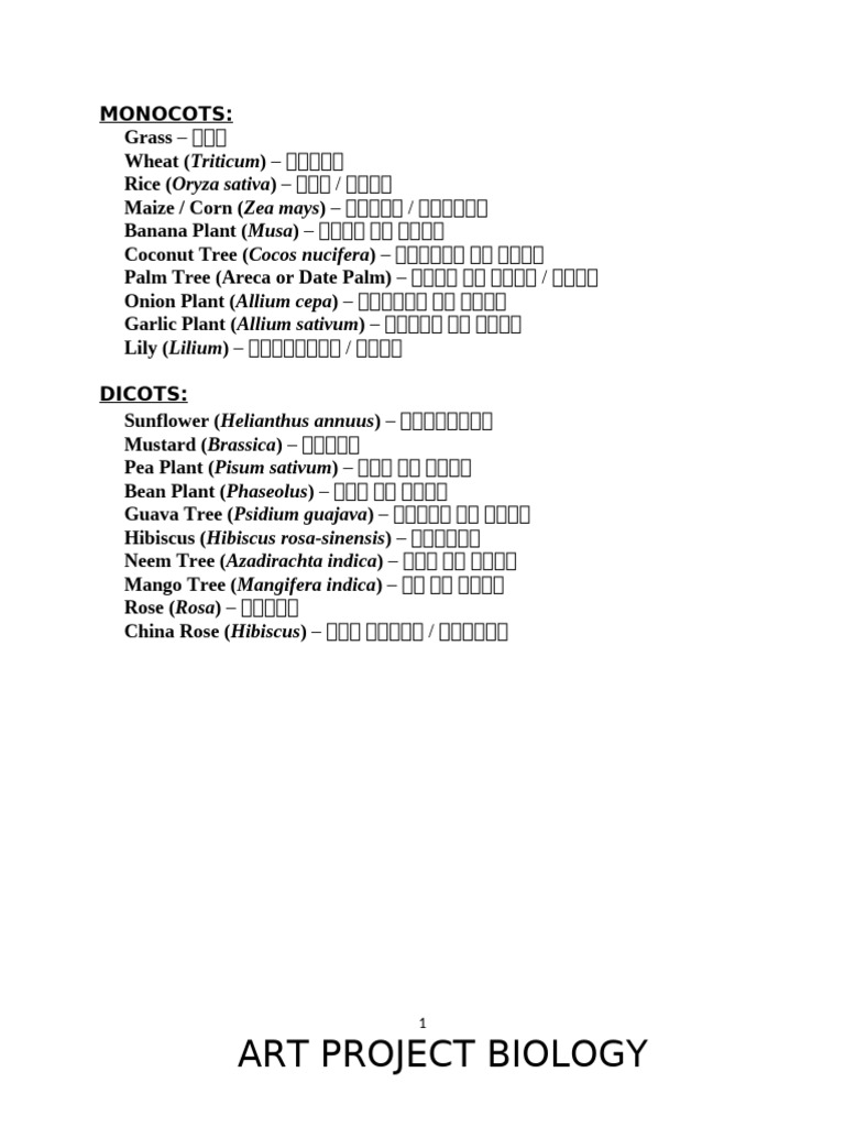 New DOCX Document | PDF