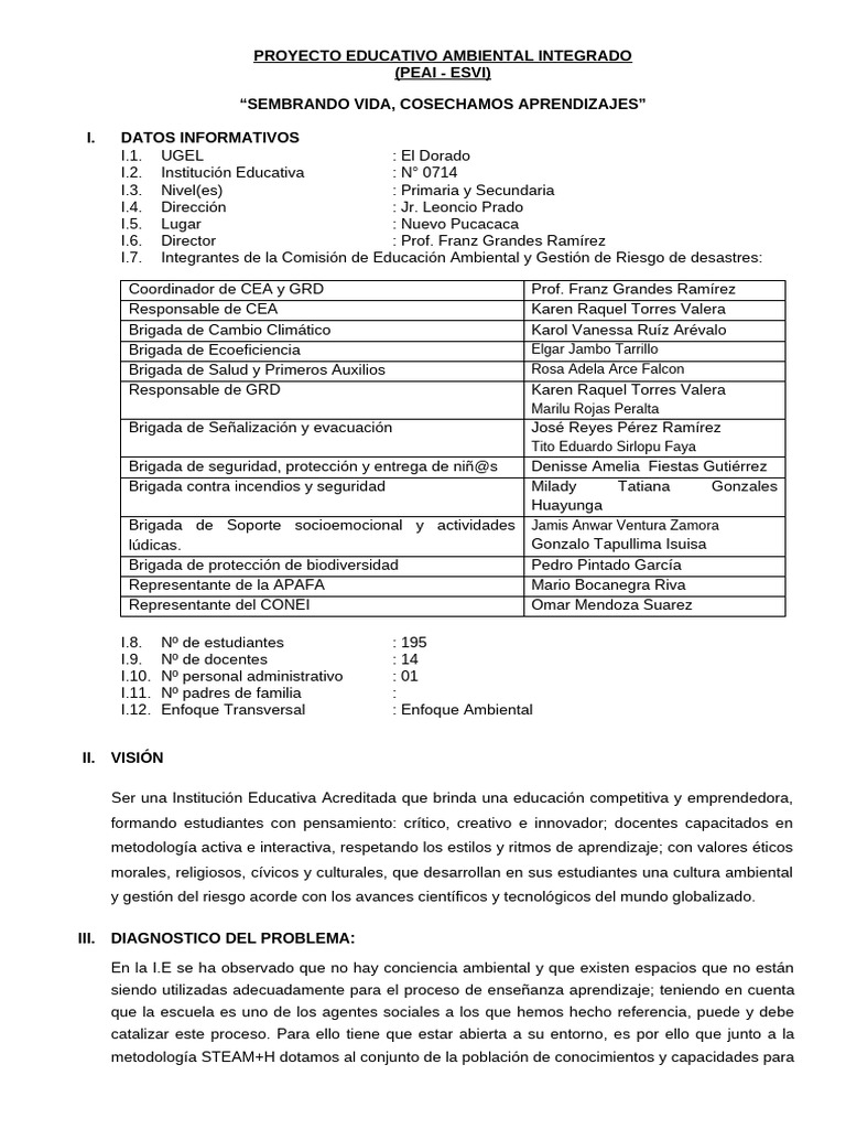 Proyecto Educativo Ambiental PEAI ESVI | PDF | Enseñando | Sustentabilidad
