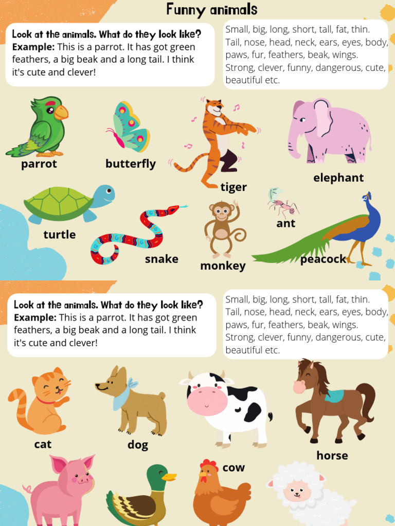 Funny Animals | PDF