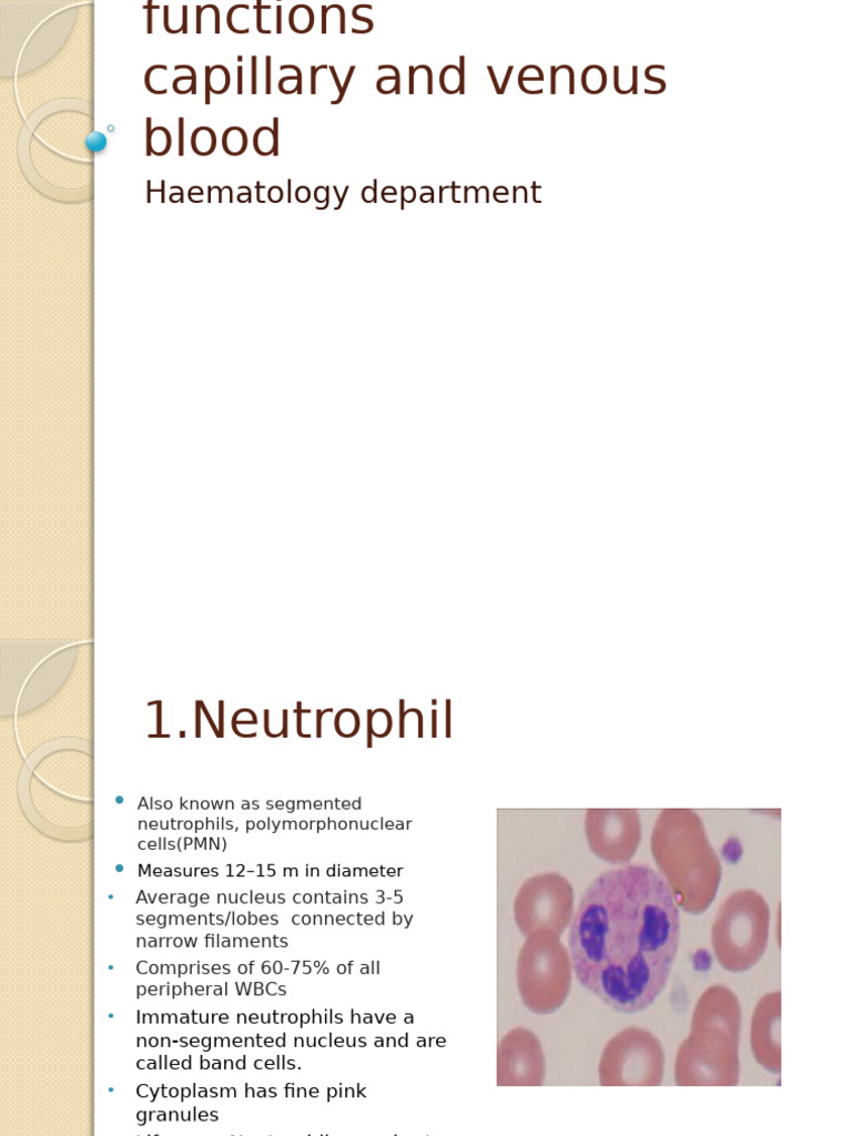 2.blood Cells and Functions Capillary, Venous | PDF | White Blood Cell ...