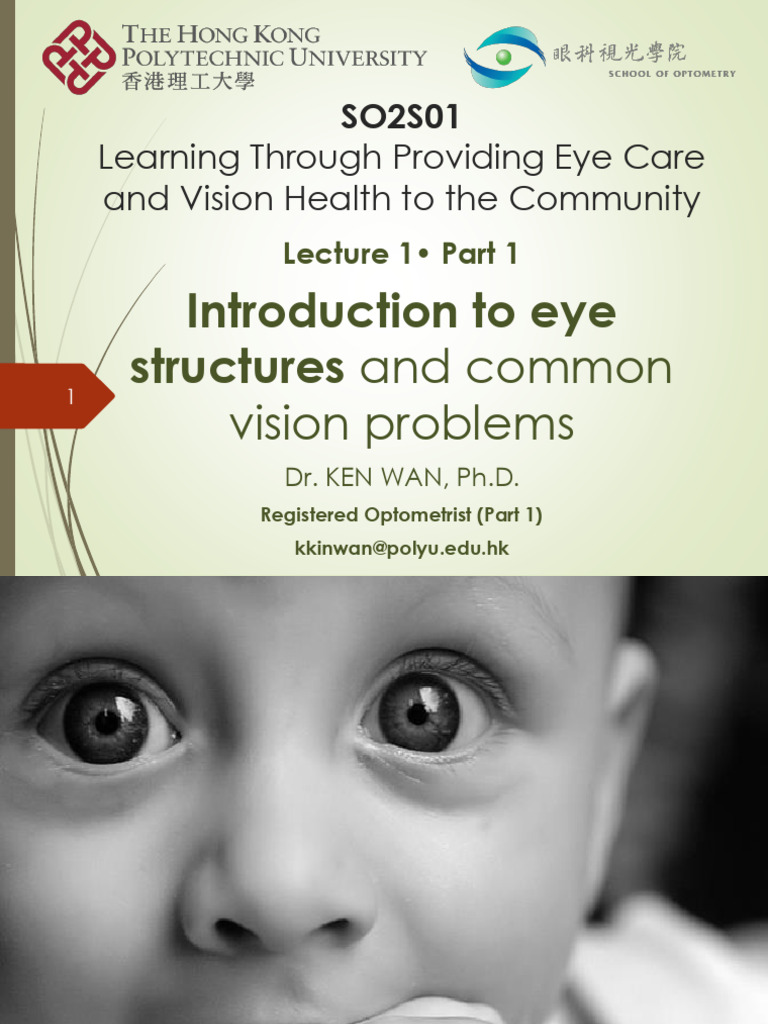 Lecture 1 Intro To Eye Structure and Common Vision Problem | PDF ...
