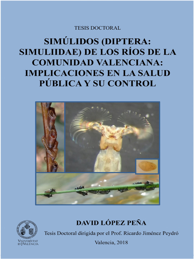 Simúlidos Diptera - Simuliidae de Los Ríos de La Comunidad Valenciana ...