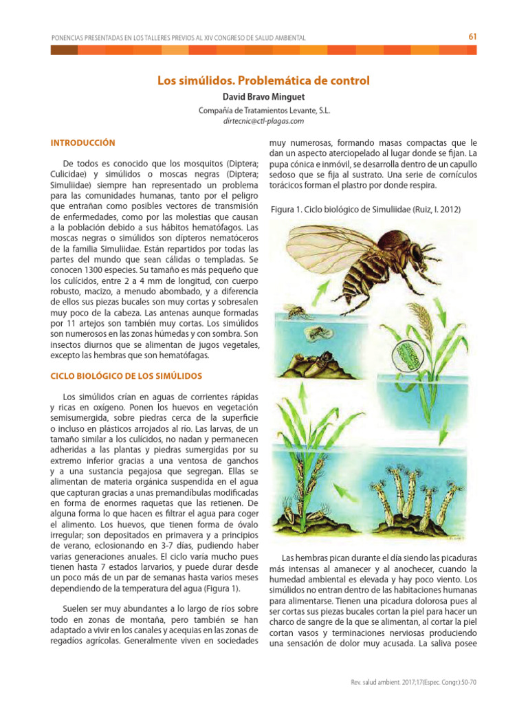 Problemática y control de simúlidos | PDF | Mosquito | Mosca