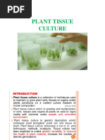 Explant Definition and Types in Tissue Culture | PDF | Cell Potency ...
