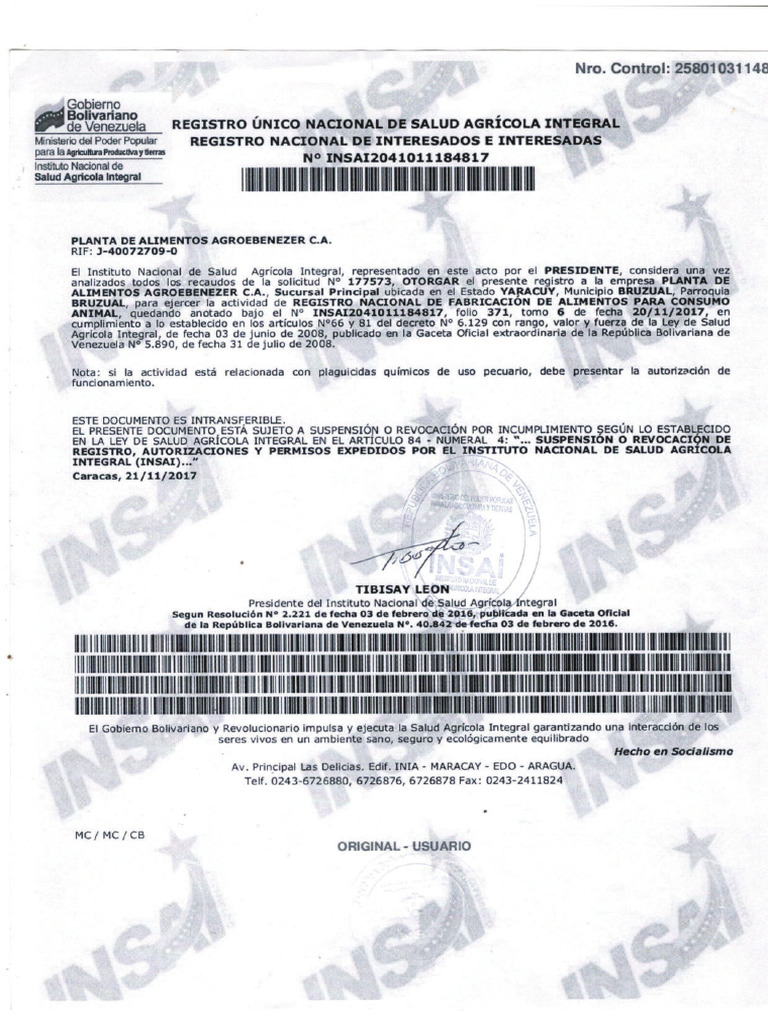 Runsai Planta Aba | PDF