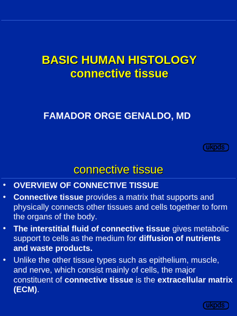 Overview of Human Connective Tissue | PDF | Connective Tissue ...