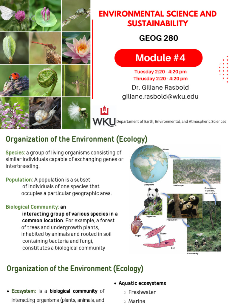 Understanding Ecosystems and Biodiversity | PDF | Wetland | Ecosystem