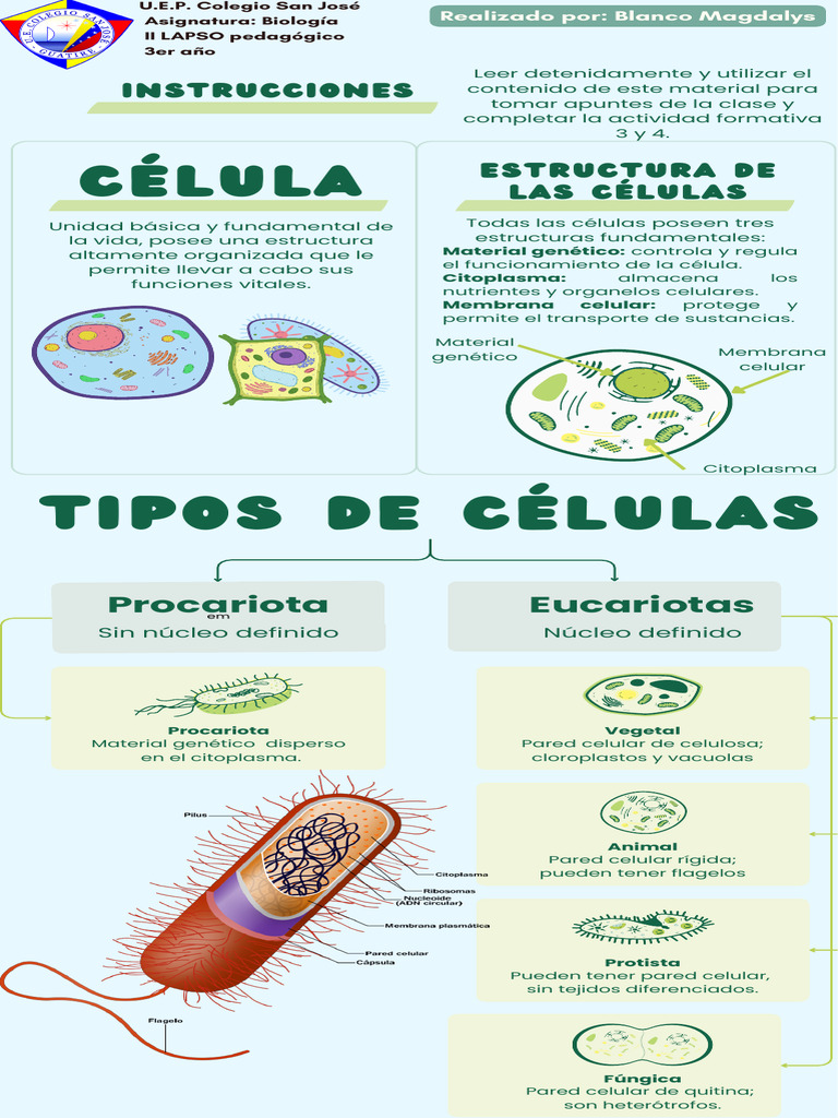 Estructura y Tipos de Células | PDF | Biología Celular) | Citoplasma