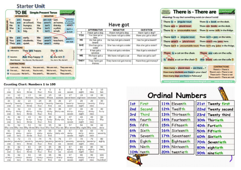 Starter Unit Grammar and Voc | PDF