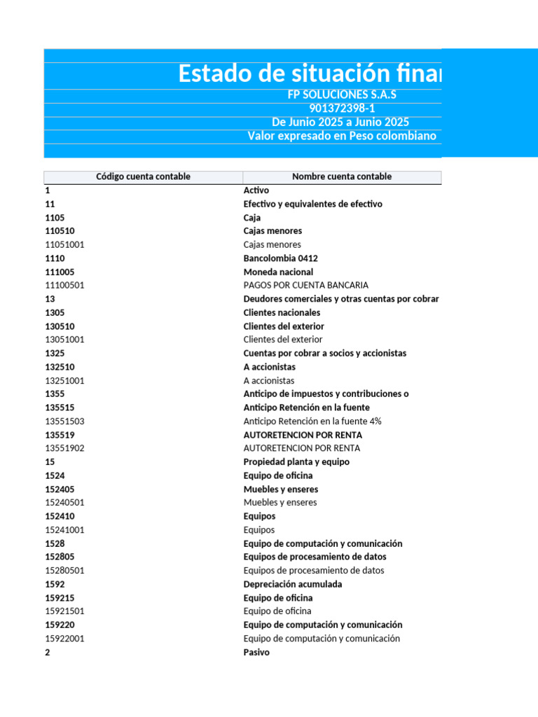 Estado de Situación Financiera | PDF | Contabilidad | Negocios económicos