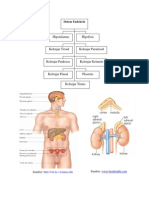 Sistem Endokrin ZV