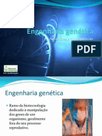 Engenharia Genética