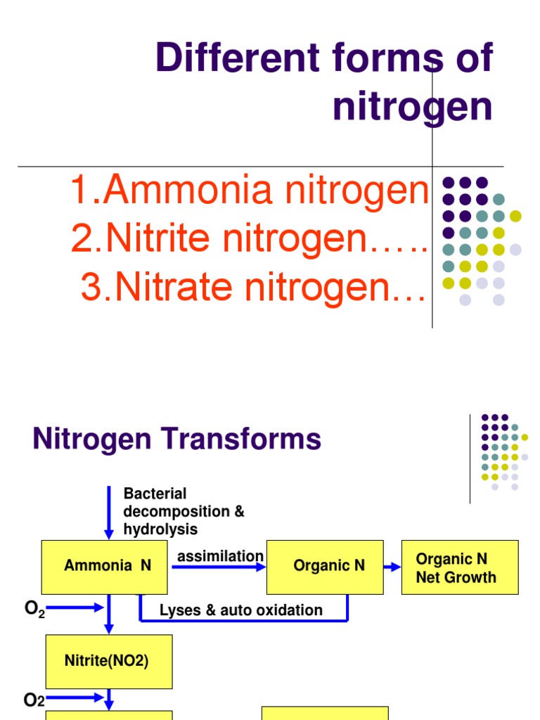 Different Forms of Nitrogen PDF