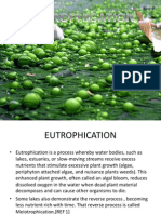EUTROPHICATION
