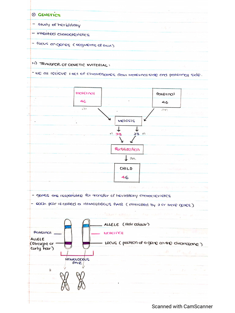 01-Gr12 Term02 01 Genetics 01 | PDF