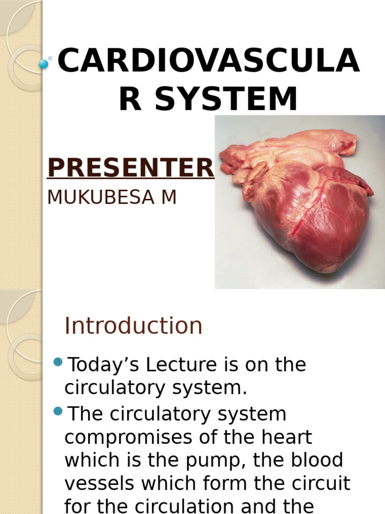 Cardiovascular System Overview and Anatomy | PDF | Heart | Heart Valve