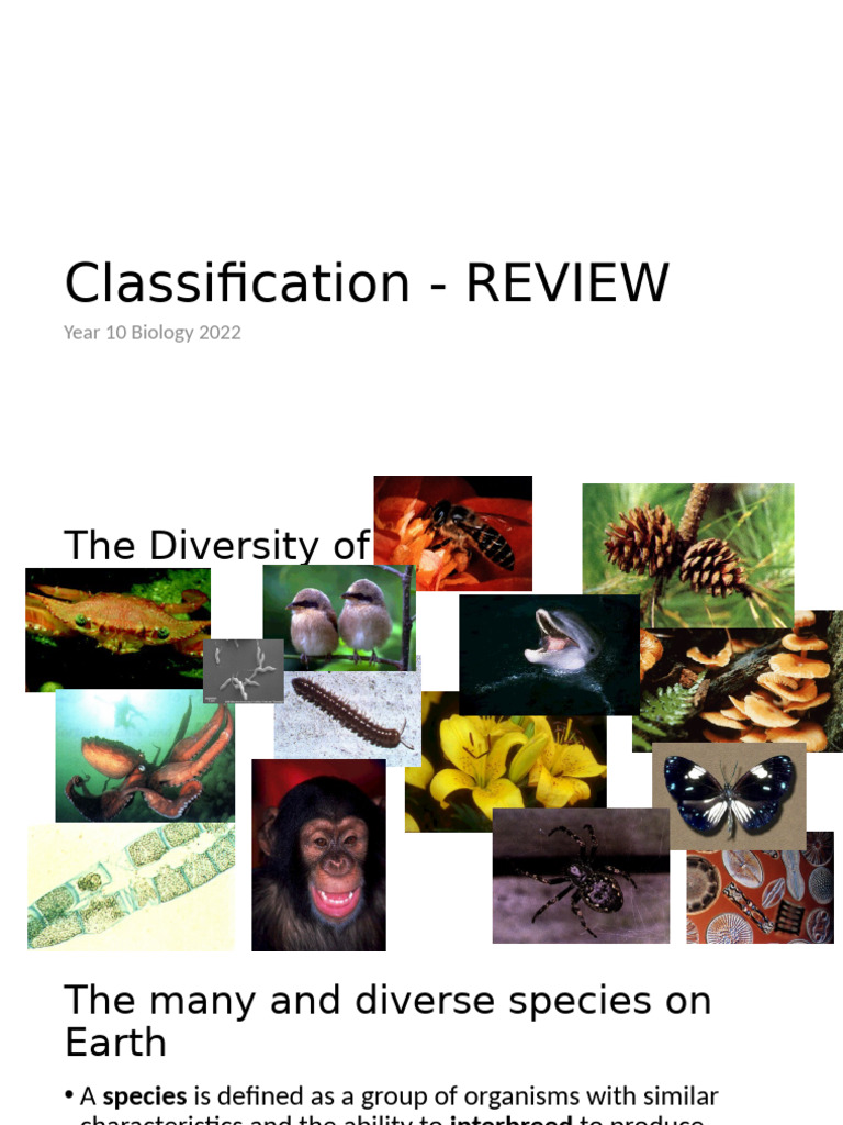 Year 10 Biology: Species Classification Guide | PDF | Biological ...