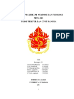 Laporan Praktikum Anatomi Dan Fisiologi Manusia