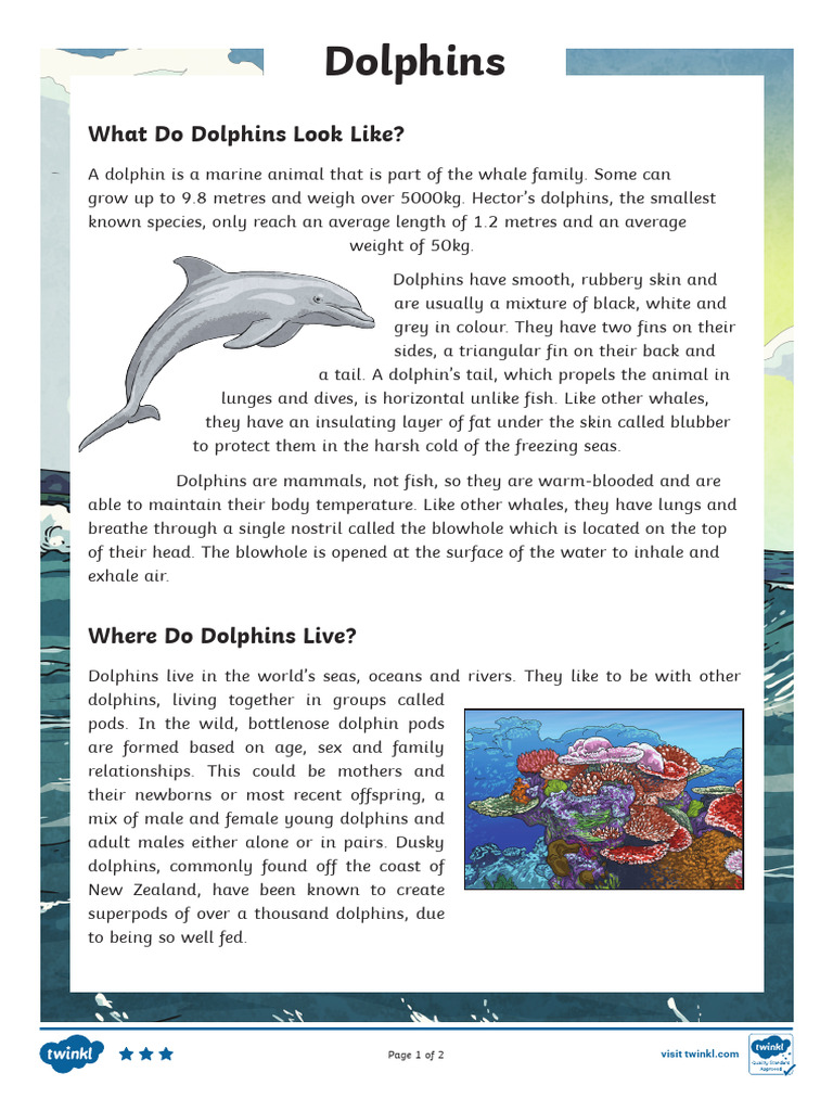 Dolphin Characteristics and Habitats | PDF | Dolphin | Cetacea
